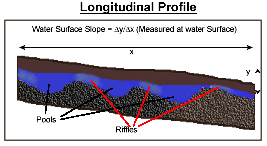 Longitudinal view