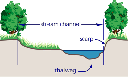 cross section