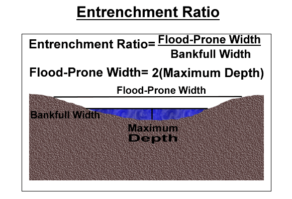 cross section