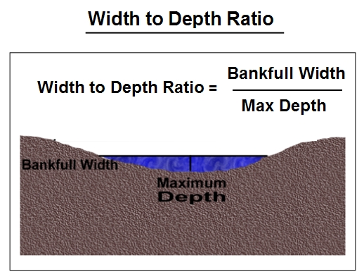 cross section