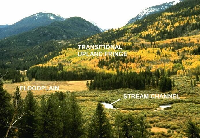 labeled landscape