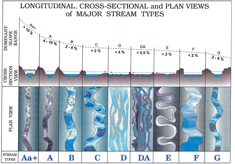 Rosgen cross section and profile view