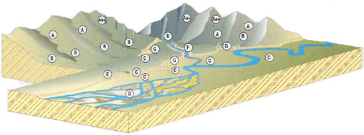 stream classification