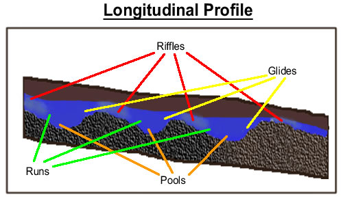 channel profile section