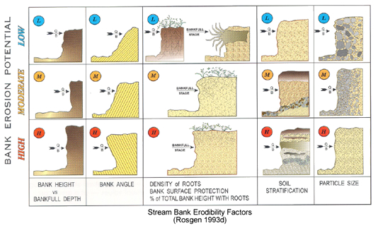 bank restoration