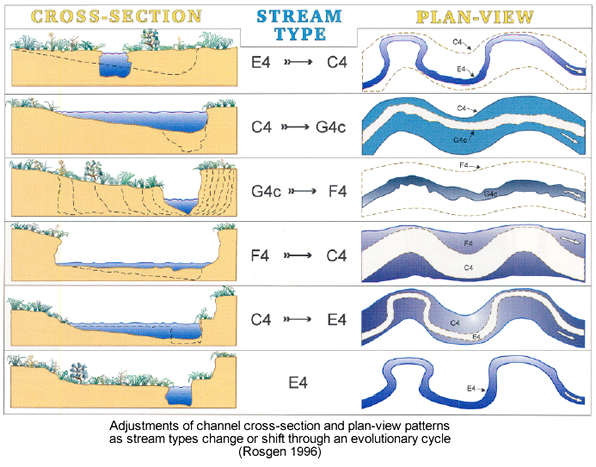 river evolution