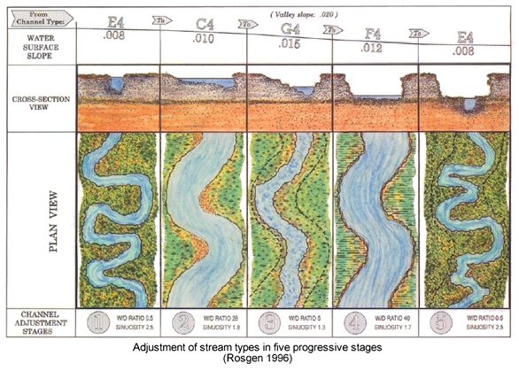 river evolution