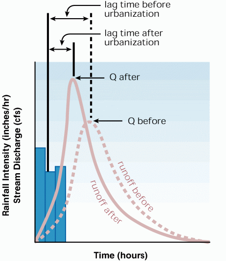 hydrograph